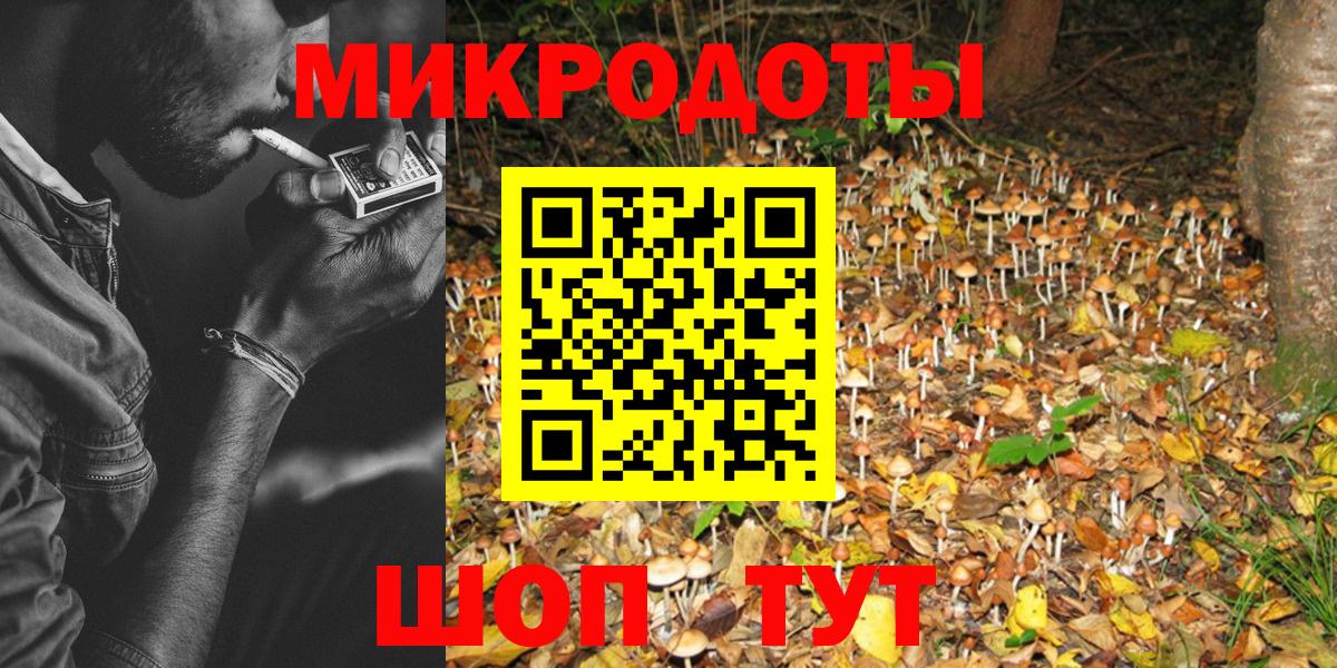 Рузаевка  Галлюциногенные грибы GOLDEN TEACHER  Вход с VPN  Галлюциногенные грибы мухоморы 